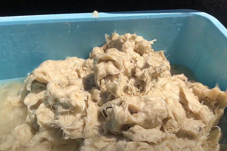 加工後の原料です。